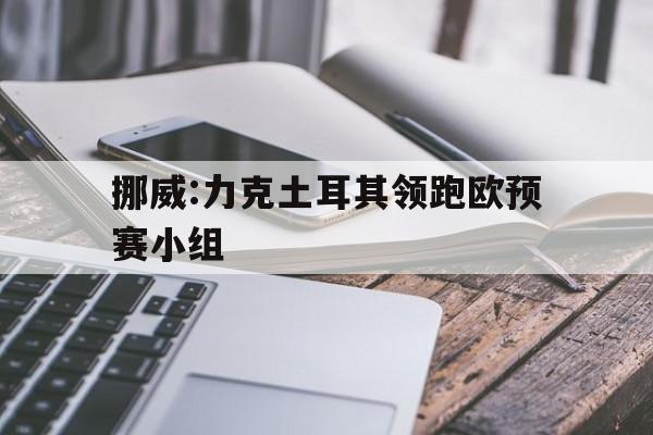 挪威:力克土耳其领跑欧预赛小组的简单介绍